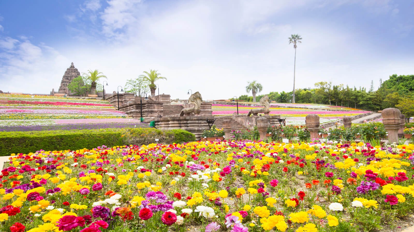 🎡 뉴 레오마월드 (NEWレオマワールド) 이미지 10